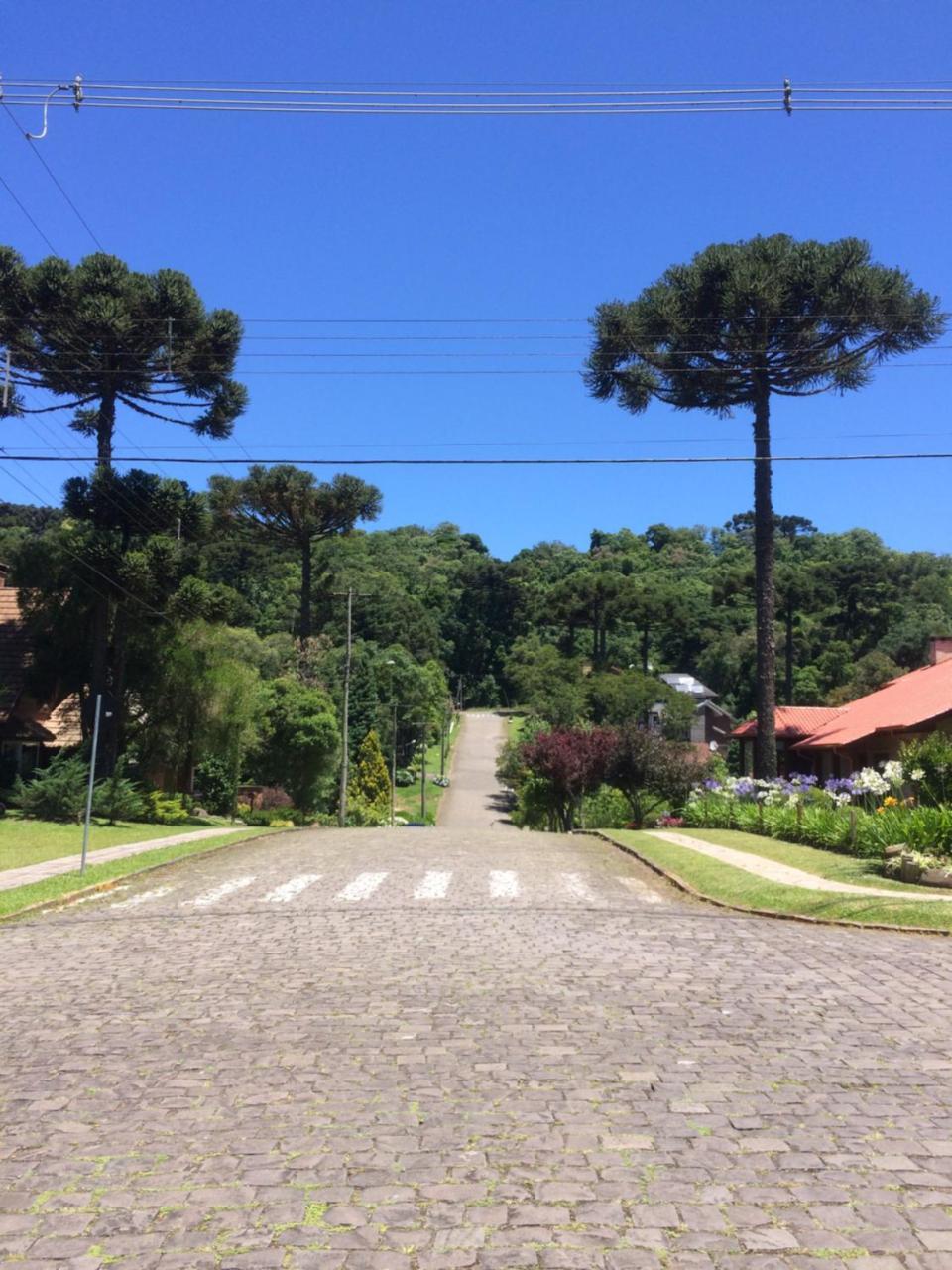 Appartamento Residencial Jardim Dos Pinheiros 279 Canela Esterno foto